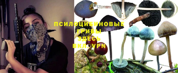 прущая мука Алзамай