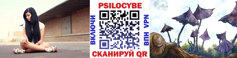 Галлюциногенные грибы мицелий  кракен зеркало  Зубцов 